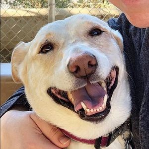 Meet your Posher, Missy